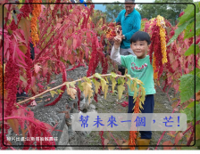 幫未來一個，芒!