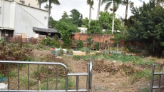 共築靜宜大學生活圈-彩繪閒置土地