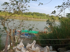 揚起—朴子溪風華再現