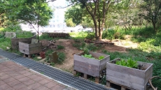 移動的綠食城堡－都市農耕推廣計畫