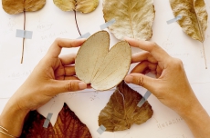 植築台南．城市採集