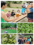 泰雅原部落 農業與文化教育園區基地