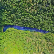 反開礦護水源，中華隊加油！