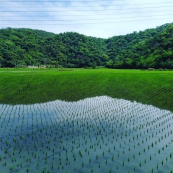 Lokah su！你好碧候藝術營計畫