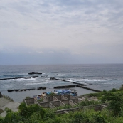 作伙來起厝-人、魚、海