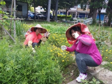 做一件讓社區更美麗的事