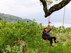 有了光樹造計畫