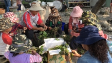 串‧照─社區互助照顧培力與串連計畫