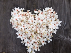 產業串聯，跨業整『荷』