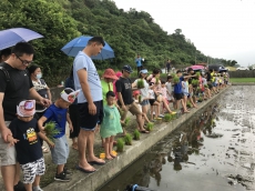 稻香忘憂谷~食農教育體驗營