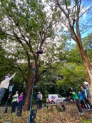 當樹把我們聯在一起