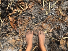 小地藝術-山火行動