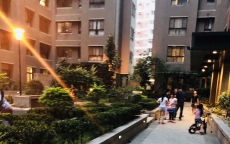 新八卦資訊交換站