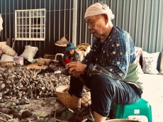 爺奶青的傳統植物食用與應用記錄計畫