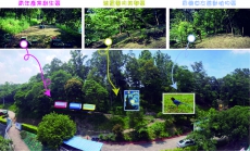 青年希望洄游創業計畫