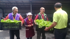 中庄嬤の安親韭餃旅圖