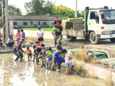 當我們「農」在一起