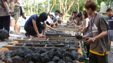 共創純園綠色生活圈