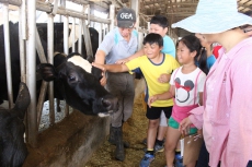 百年酪香豐榮情