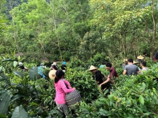 六龜雲-紀錄地方故事 構築行動導覽