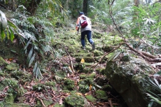 找尋前後大埔移墾足跡