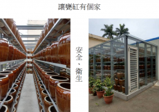 做醬共享-長青食堂的第二春